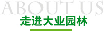 走进威尼斯98488