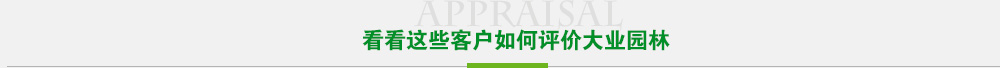 看看这些客户如何评价威尼斯98488