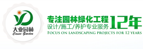 深圳威尼斯98488